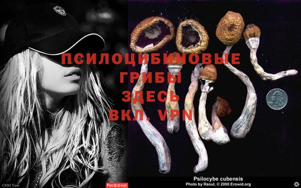 ECSTASY Богородск