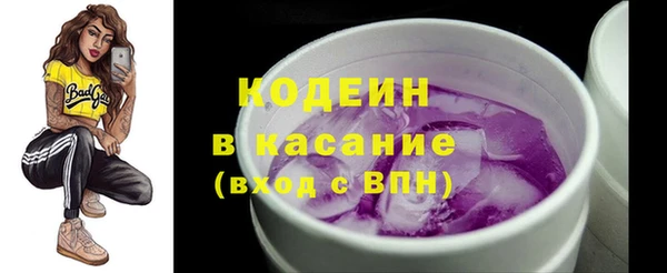ECSTASY Богданович