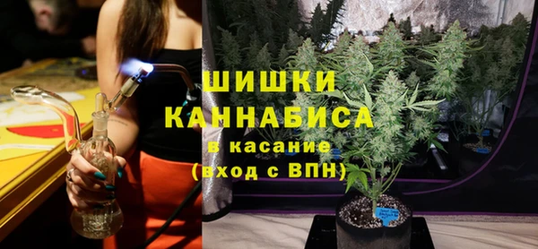 ECSTASY Богданович