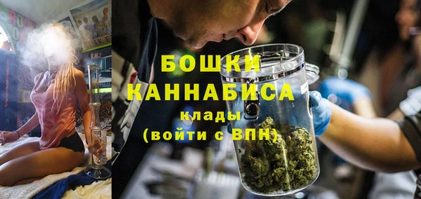 ECSTASY Богданович
