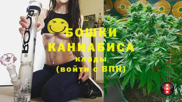 PSILOCYBIN Богородицк