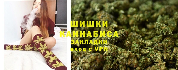 ECSTASY Богданович