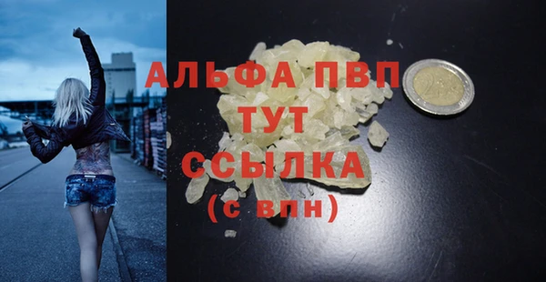 ECSTASY Богданович