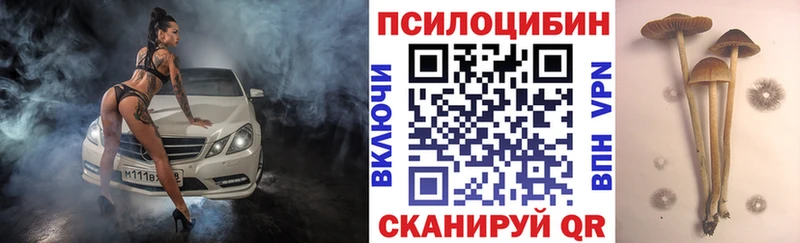 наркошоп  Минеральные Воды  Галлюциногенные грибы Cubensis 
